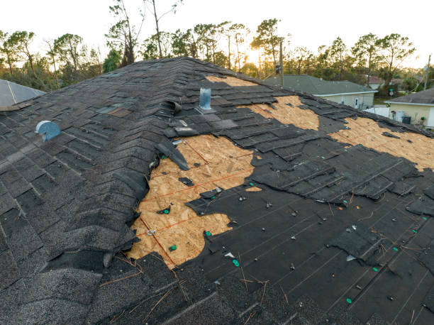 Best Roofing for New Construction  in West Pensacola, FL