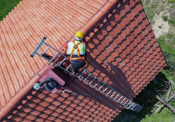 Best Metal Roofing Installation  in West Pensacola, FL